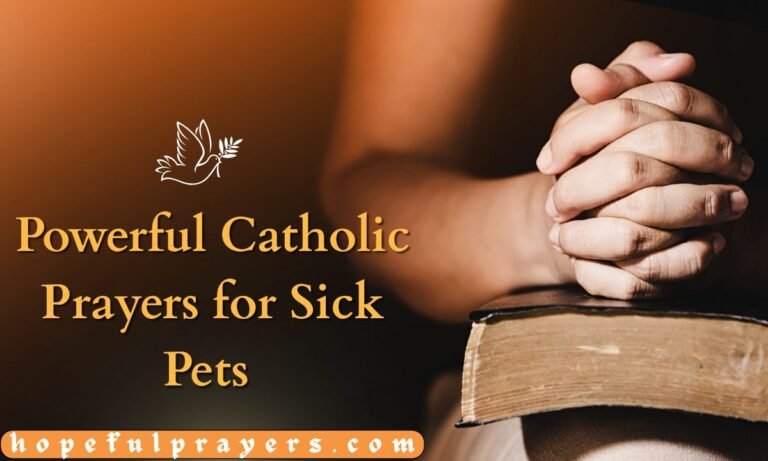 Powerful Catholic Prayers for Sick Pets