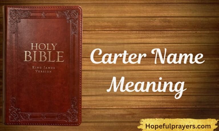 Carter Name Meaning