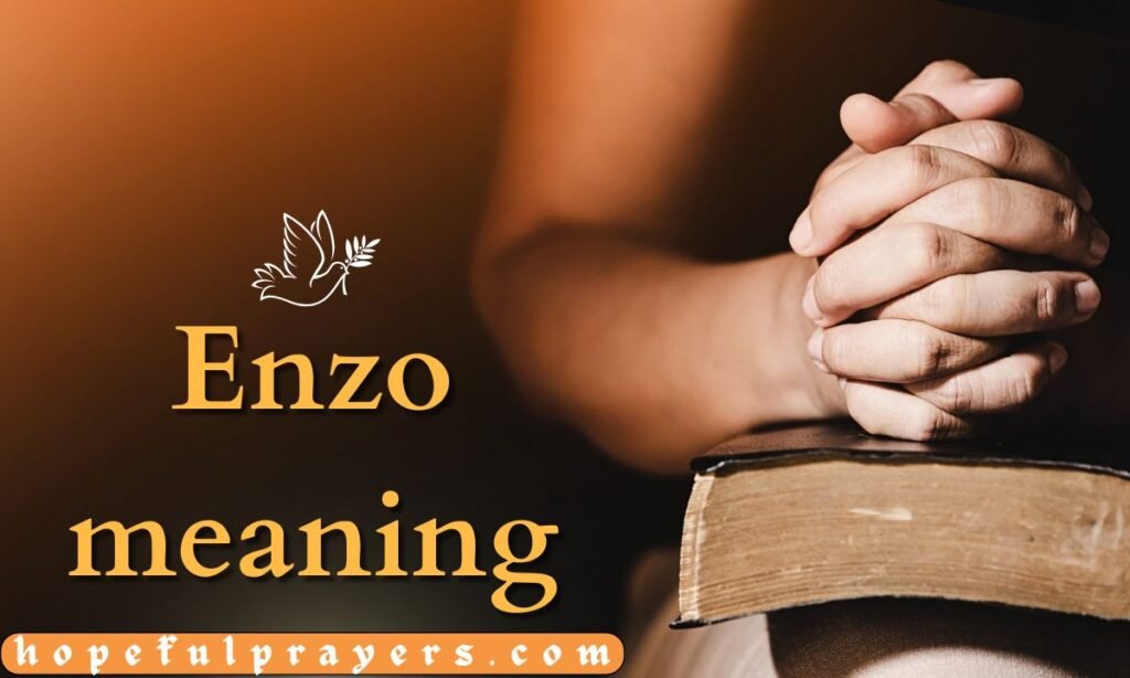 Enzo meaning