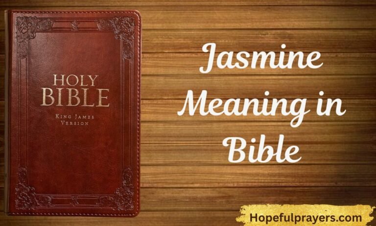 Jasmine Meaning in Bible