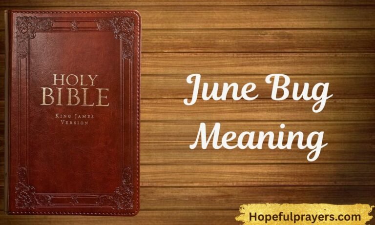 June Bug Meaning