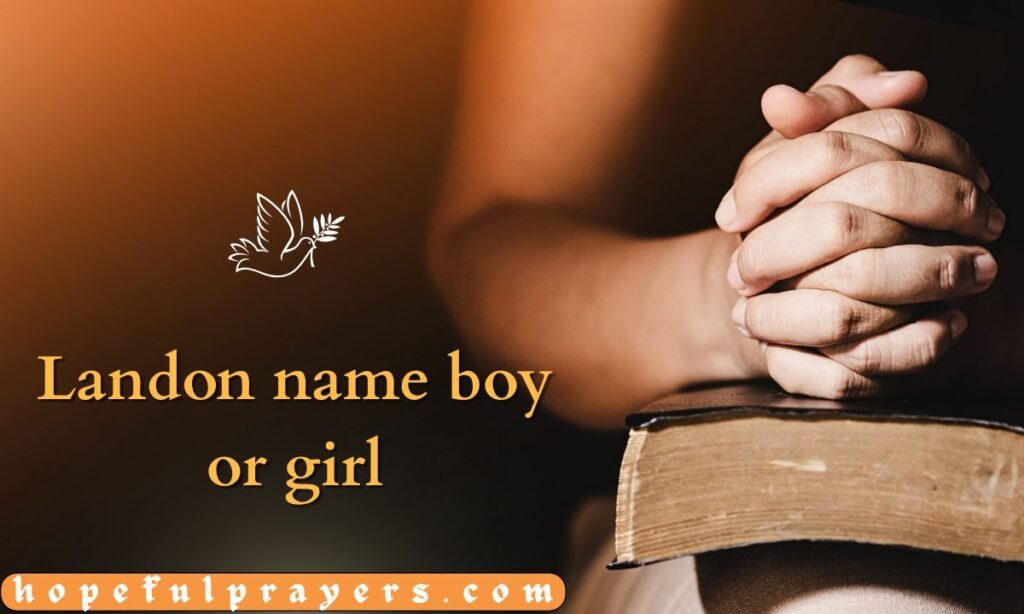 Landon name boy or girl