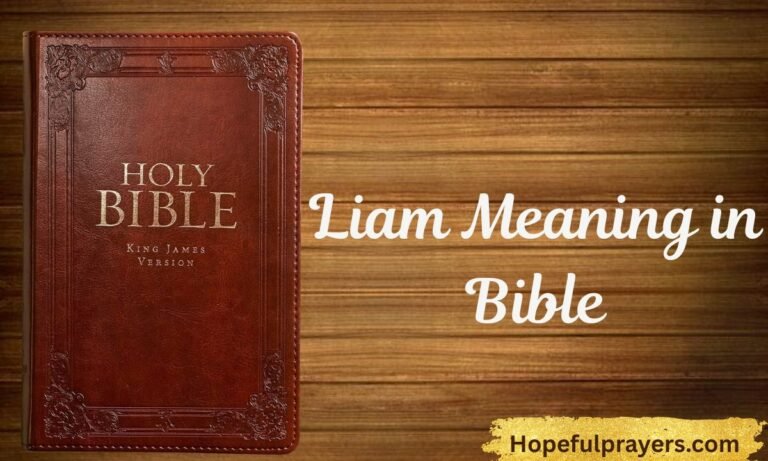 Liam Meaning in Bible