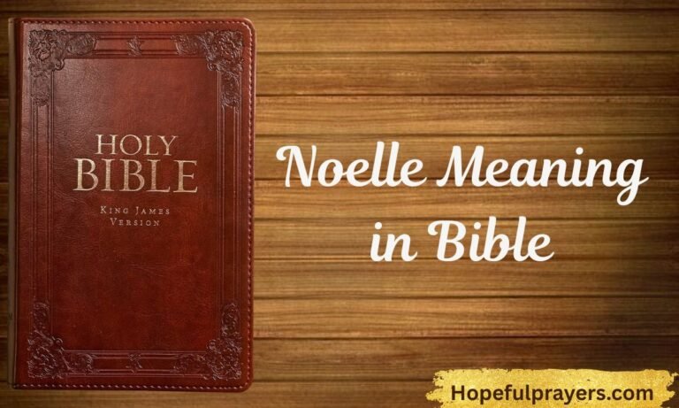 Noelle Meaning in Bible