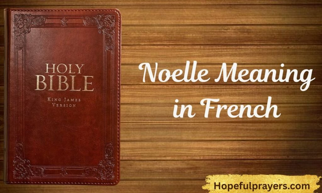 Noelle Meaning in French