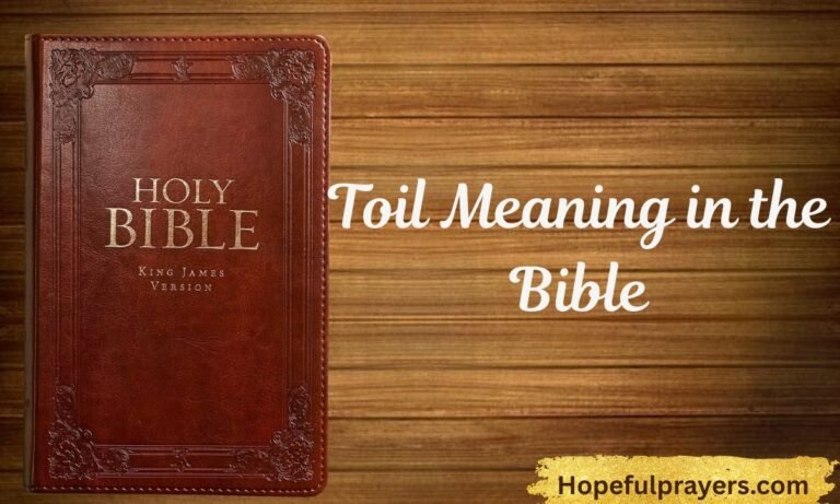 Toil Meaning in the Bible