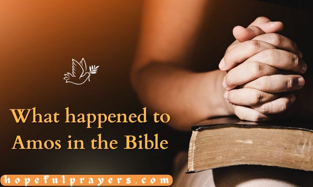 What happened to Amos in the Bible