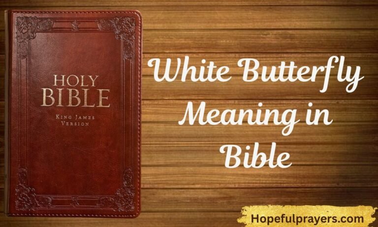 White Butterfly Meaning in Bible