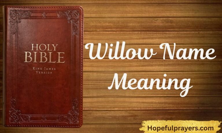 Willow Name Meaning
