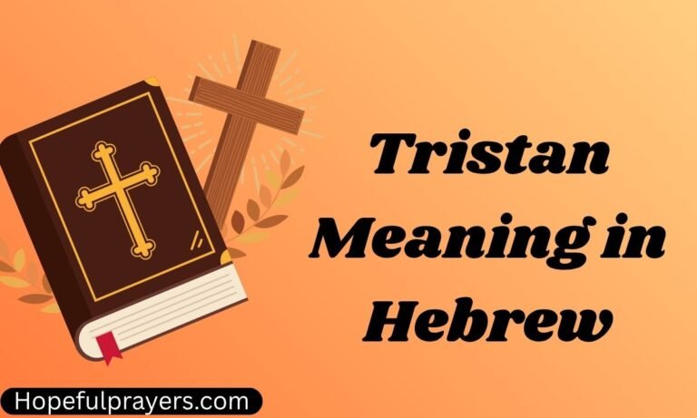 what does the name tristan mean (1)