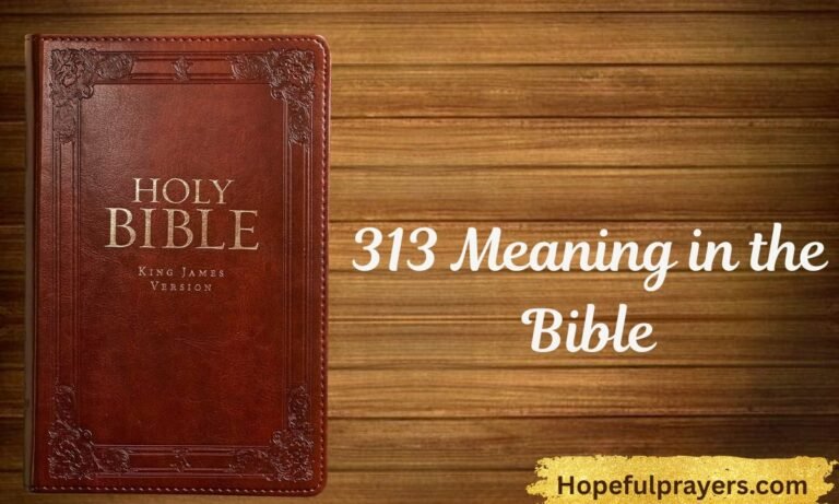313 Meaning in the Bible