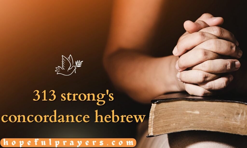 313 strong's concordance hebrew