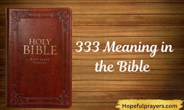 _333 Meaning in the Bible