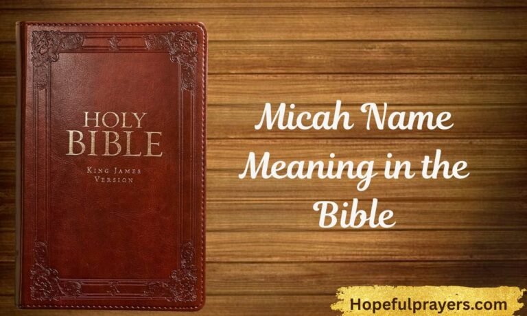 Micah Name Meaning in the Bible (1)