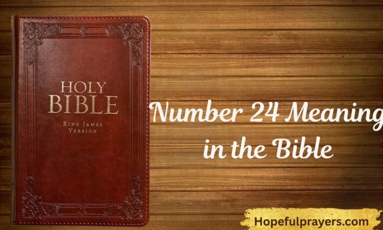 Number 24 Meaning in the Bible