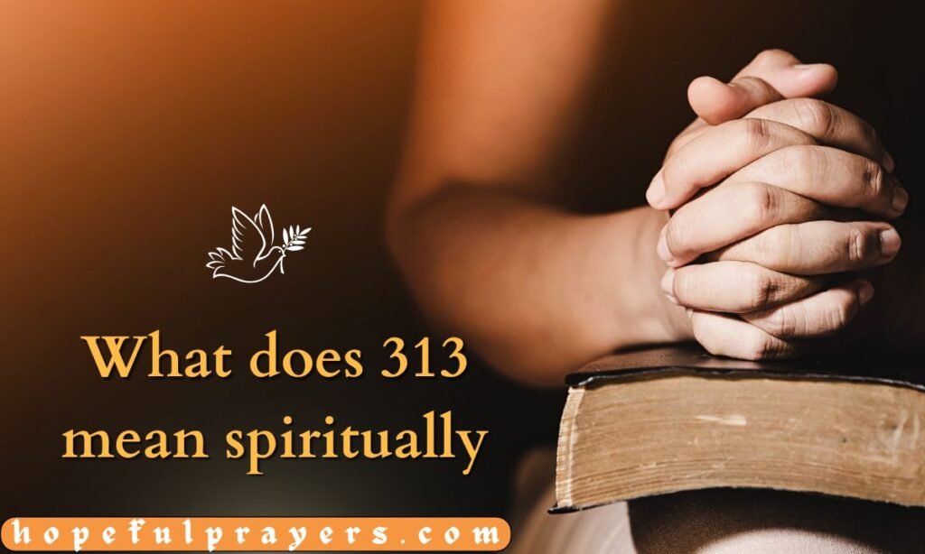 What does 313 mean spiritually